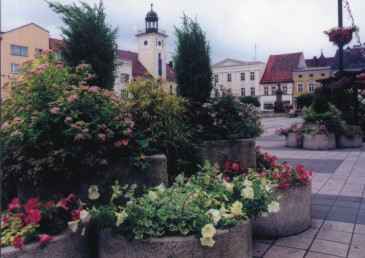Rynek"